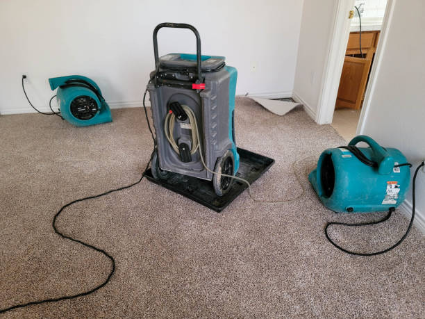 Best Mold removal after water damage  in North Richmond, CA