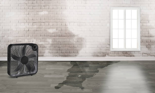  North Richmond, CA Water damage restoration Pros