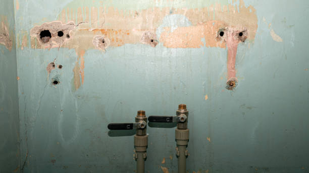 Best Flooded house restoration  in North Richmond, CA