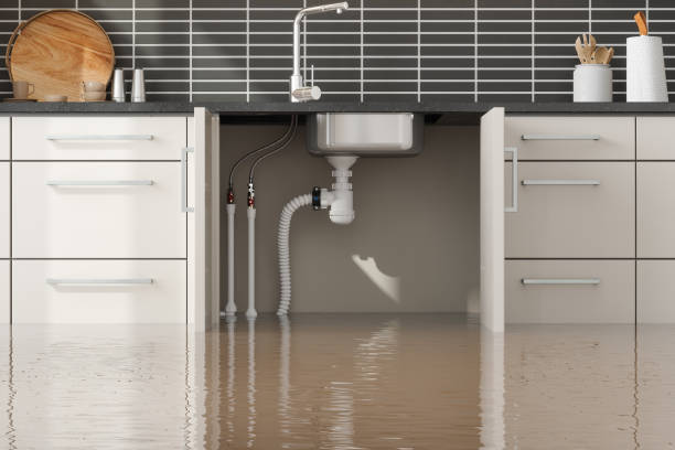 Best Flood damage cleanup  in North Richmond, CA